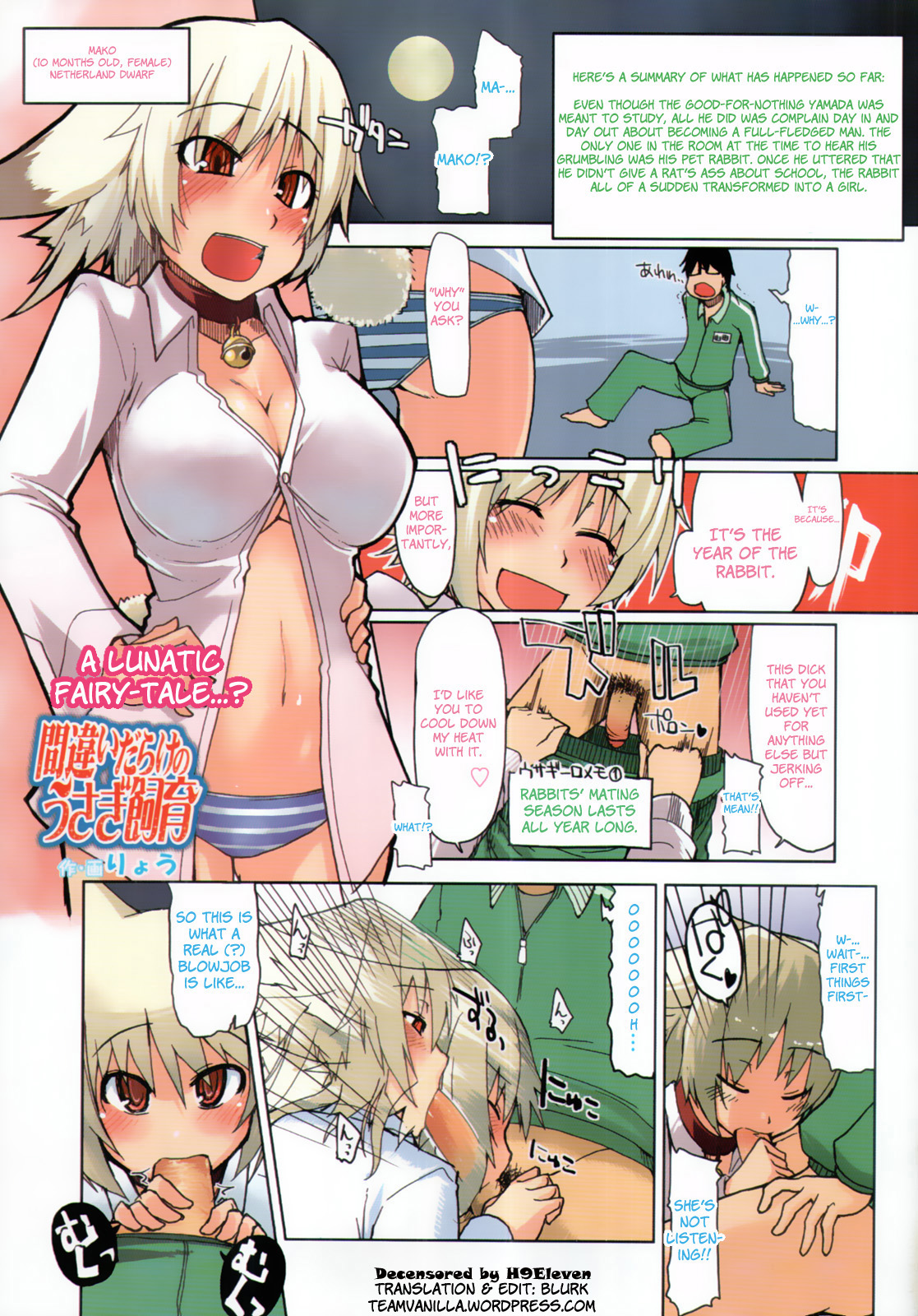 Machigai Darake no Usagi Shiiku | You're Doing It Wrong! (COMIC Tenma 2011-03) [English] =Team Vanilla=