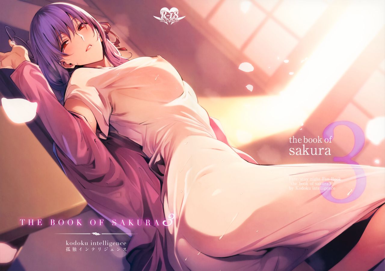 THE BOOK OF SAKURA 3 (Fate/stay night) [English] [Zaibatsu]