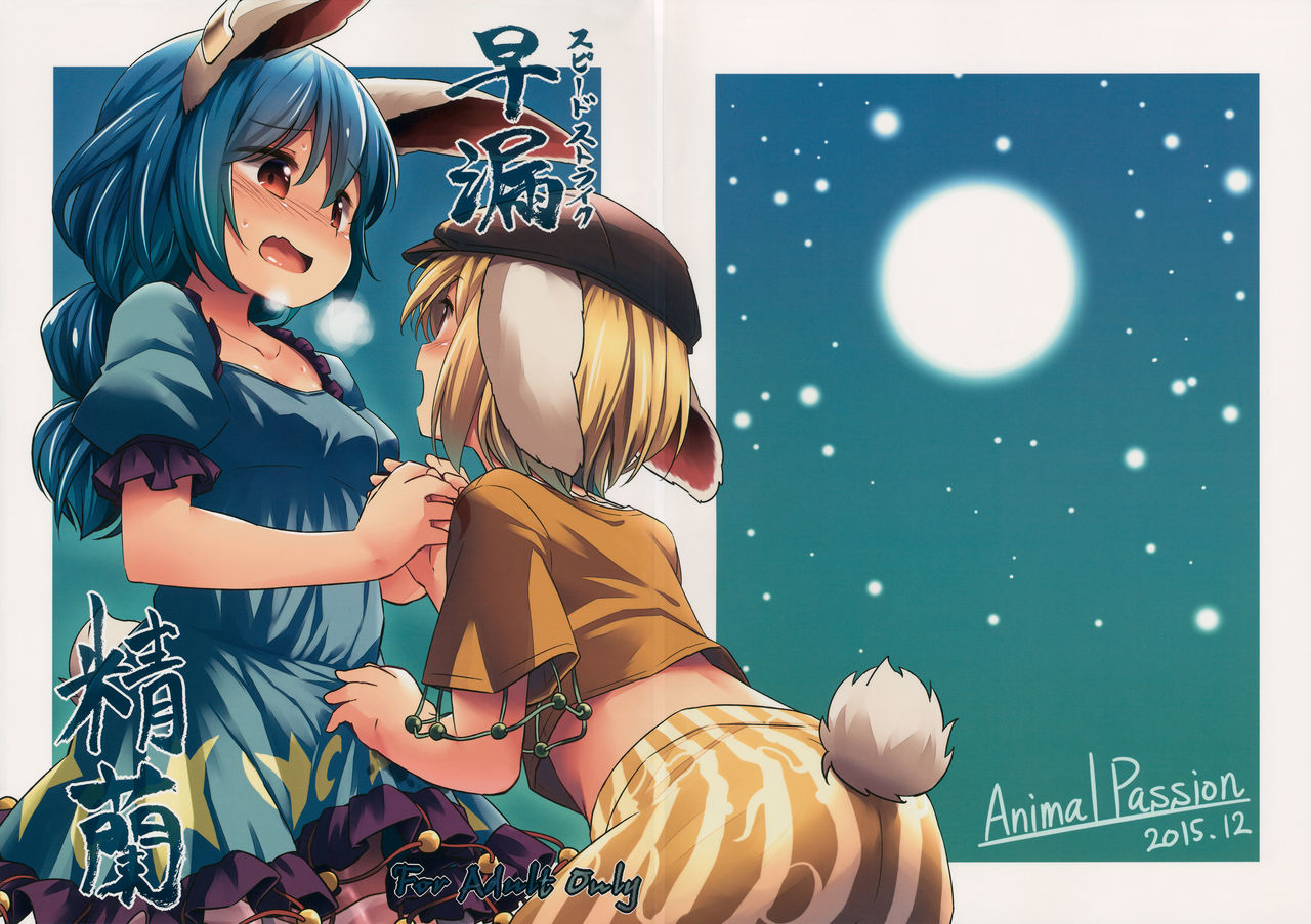 Speed Strike Seiran (Touhou Project) [English] [desudesu]