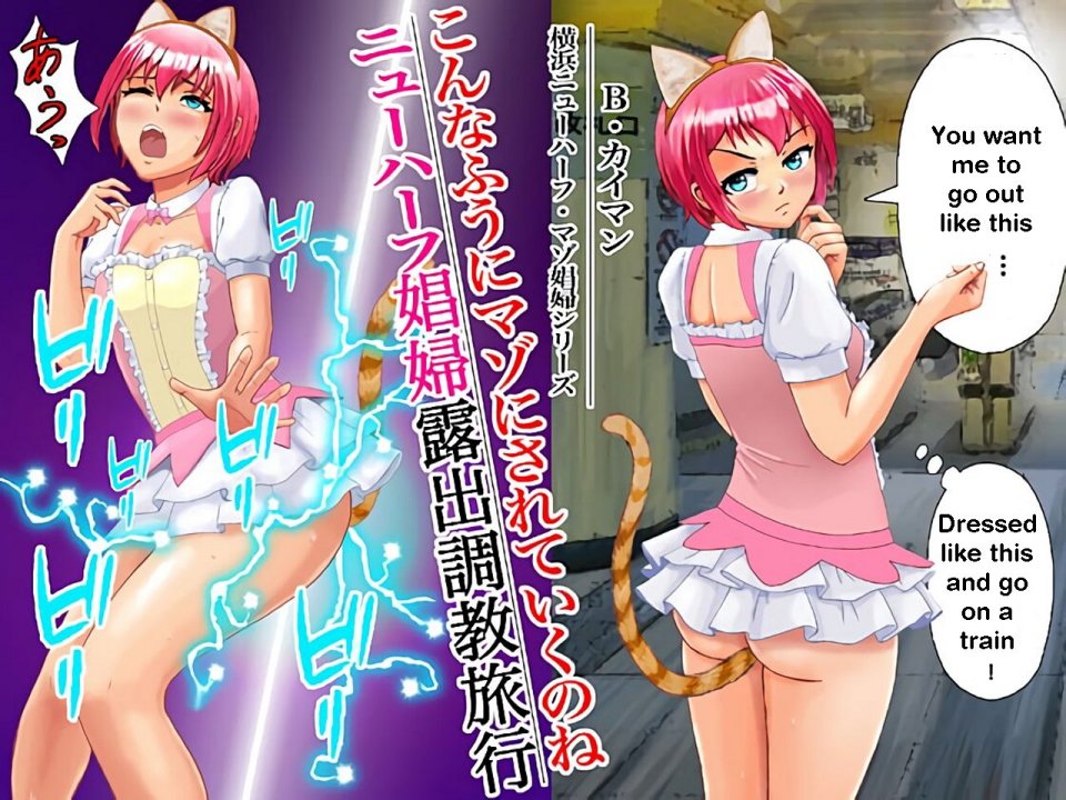 Konna Fuuni Maso ni Sareteiku no ne. Newhalf  Shoufu Roshutsu Choukyou Ryokou | Transsexual prostitute exhibitionist training trip [English] [itsy]